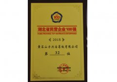 2015年湖北省民营企业100强