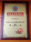 2019湖北民营企业100强